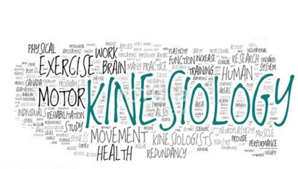 Kinesiology In Sports