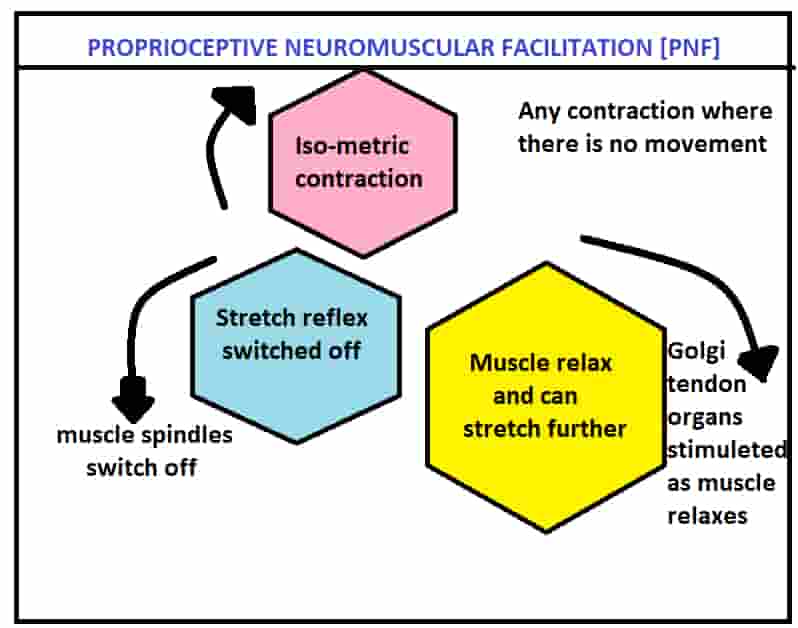 PROPRIOCEPTIVE NEUROMUSCULAR FACILITATION 