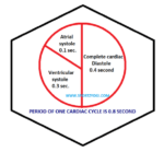 CARDIAC CYCLE