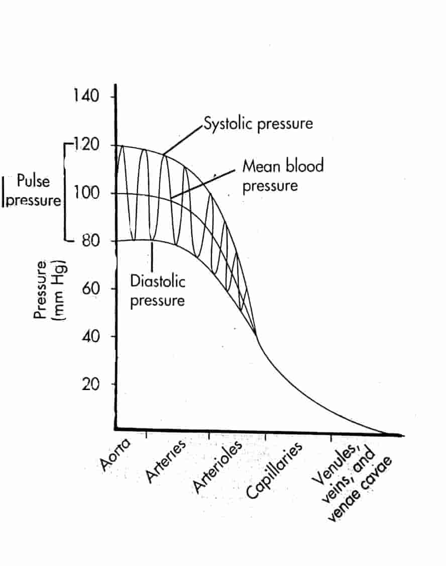 what is blood pressure