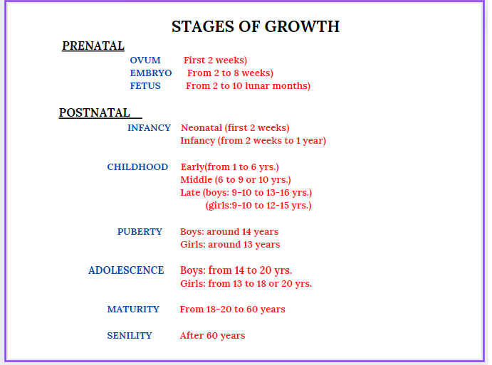 Stages of growth